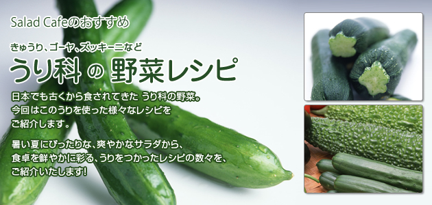 うり科の野菜レシピ