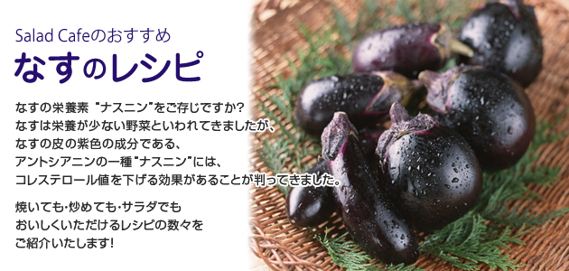 なすのレシピ なすのレシピ