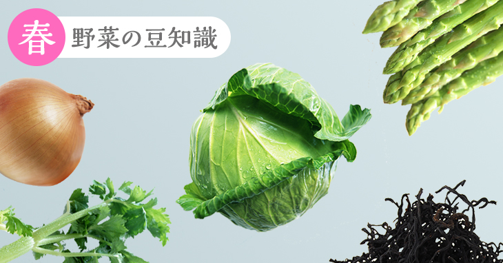 野菜の調理のコツ・保存・豆知識