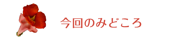 今回のみどころ