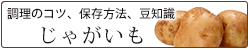 じゃがいも特集