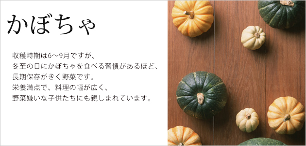 知る 楽しむ かぼちゃの豆知識 サラダカフェ Salad Cafe