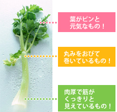 知る 楽しむ セロリの保存 調理のコツ 豆知識 サラダカフェ Salad Cafe