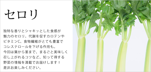 知る 楽しむ セロリの保存 調理のコツ 豆知識 サラダカフェ Salad Cafe