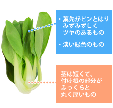 チンゲン菜