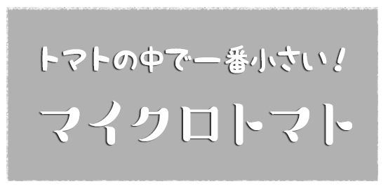 マイクロトマト