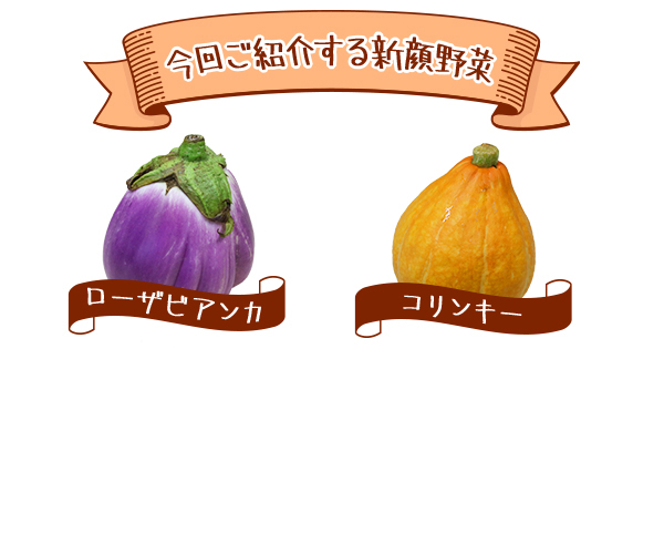 今回ご紹介する新顔野菜