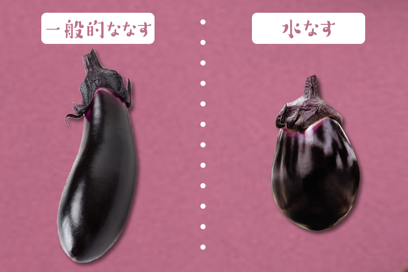 水なすと一般的ななす