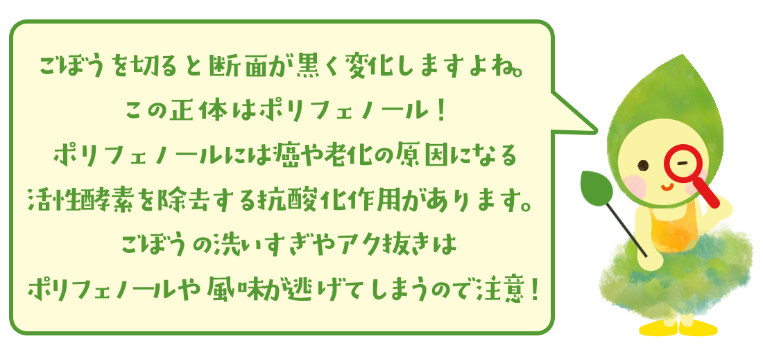 ごぼうの洗いすぎは注意