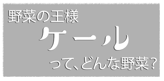 野菜の王様｢ケール｣ってどんな野菜？