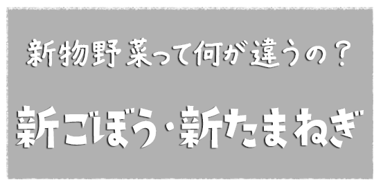 新物野菜って何が違うの 新ごぼう 新たまねぎ サラダカフェ通信では食の話題やトレンドをスタッフがお届けします サラダカフェ Salad Cafe