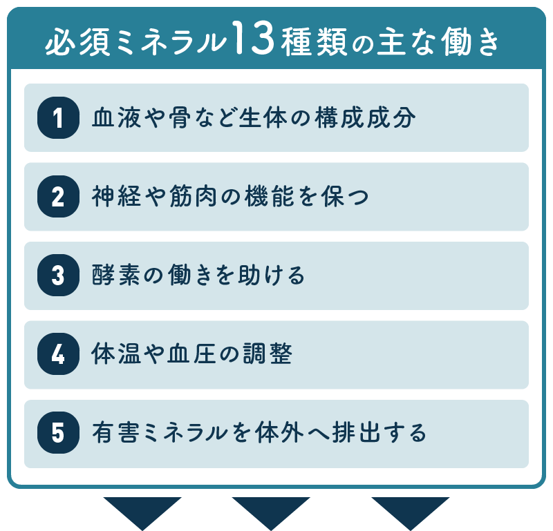 必須ミネラル13種類の主な働き