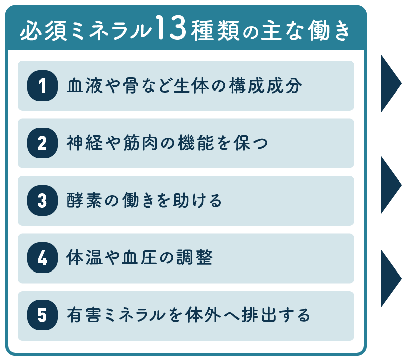 必須ミネラル13種類の主な働き