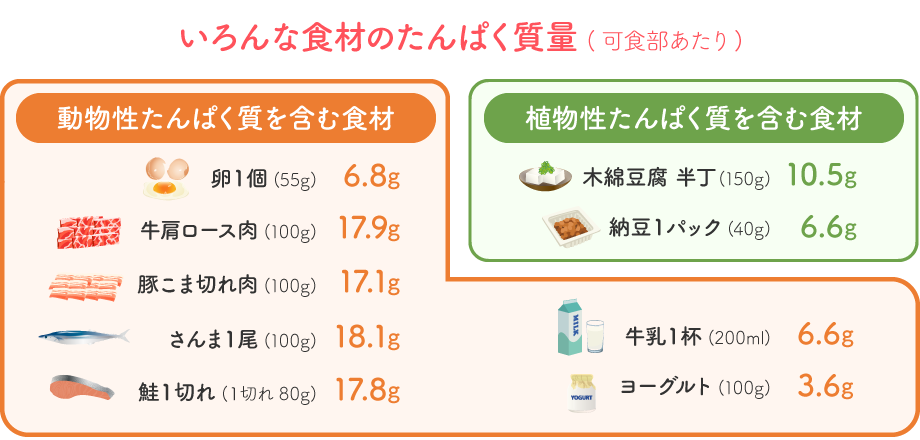 いろんな食材のたんぱく質量 (可食部あたり)