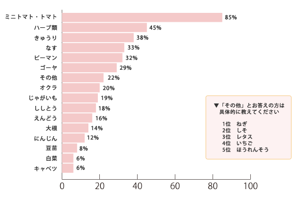 アンケート プレゼント アンケート結果 サラダカフェ Salad Cafe