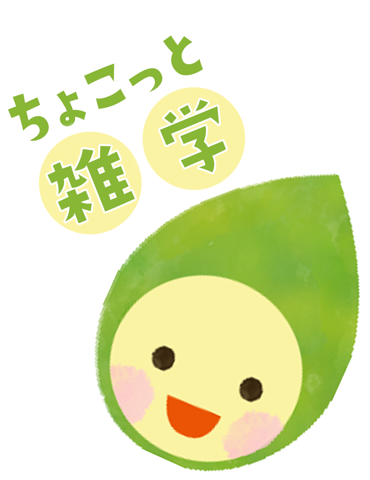 ちょこっと雑学 ちょこっと雑学