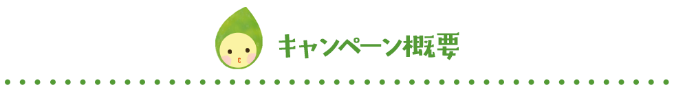 キャンペーン概要 キャンペーン概要