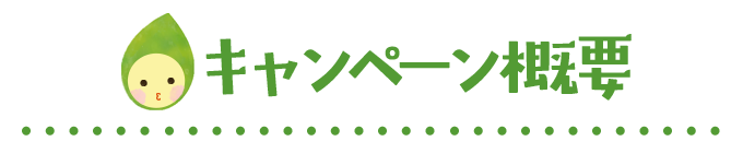 キャンペーン概要 キャンペーン概要