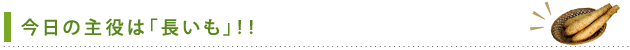 今日の主役は「長いも」！！