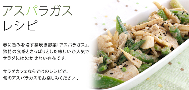 アスパラガスレシピ アスパラガスレシピ