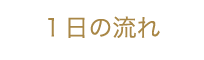 １日の流れ