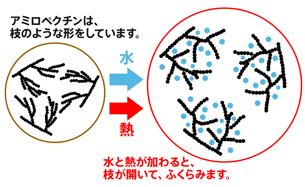 デンプンの変化