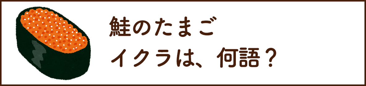 鮭のたまご「イクラ」は？