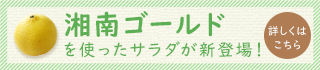 湘南ゴールドを使ったサラダが新登場！